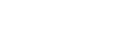 logo light