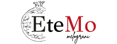 logo dark